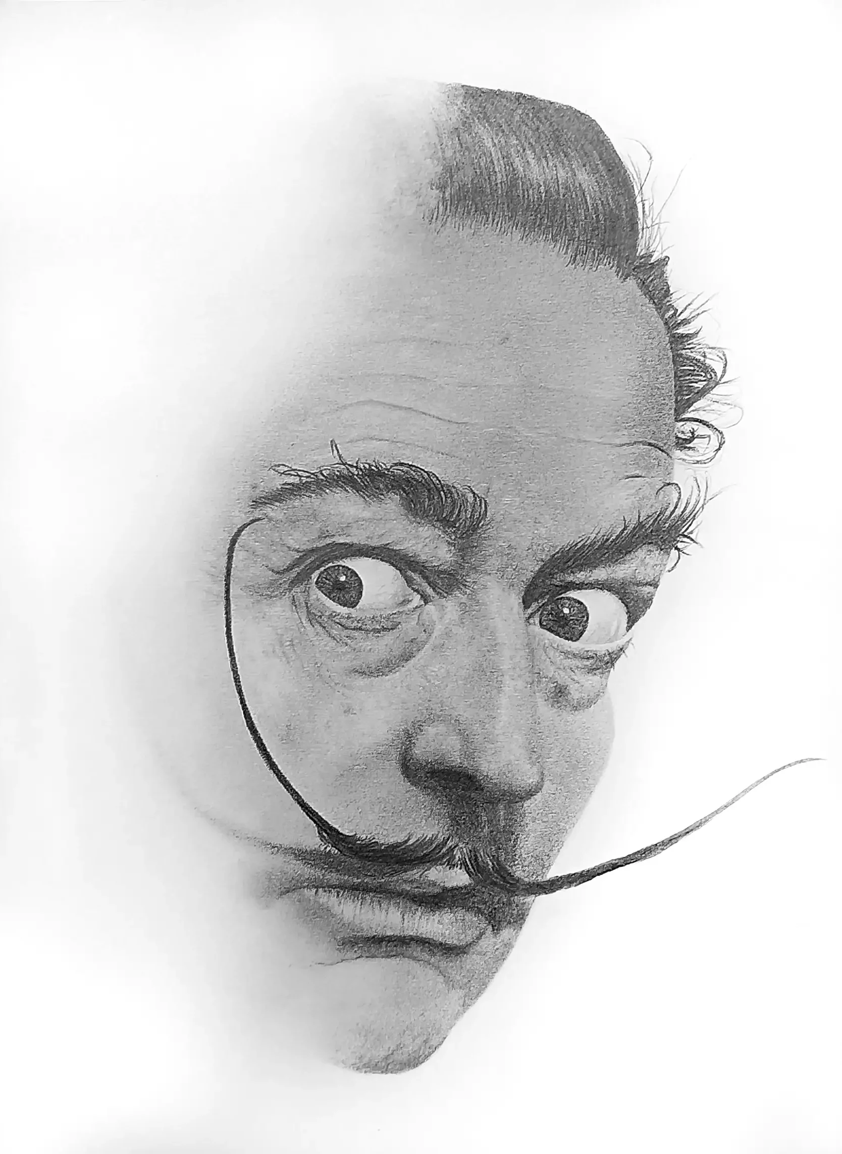 Ilustraciones